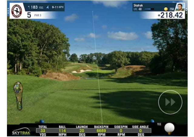 Screenshot of the WGT Golf software