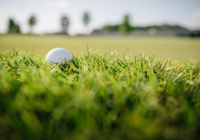 golf ball on the grass