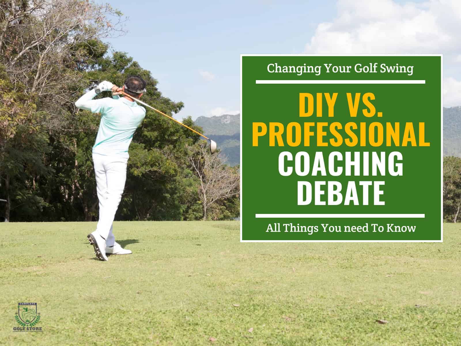DIY vs Professional Coaching Debate